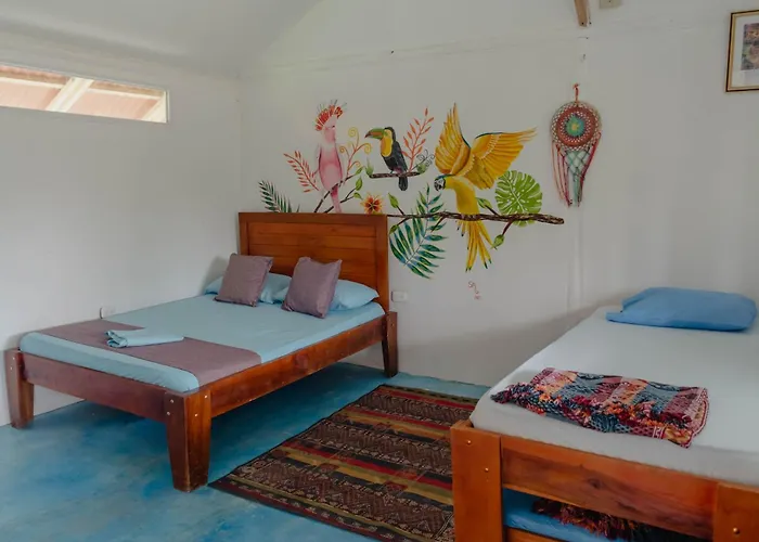 El Zoo Hostel, Bar & Pool