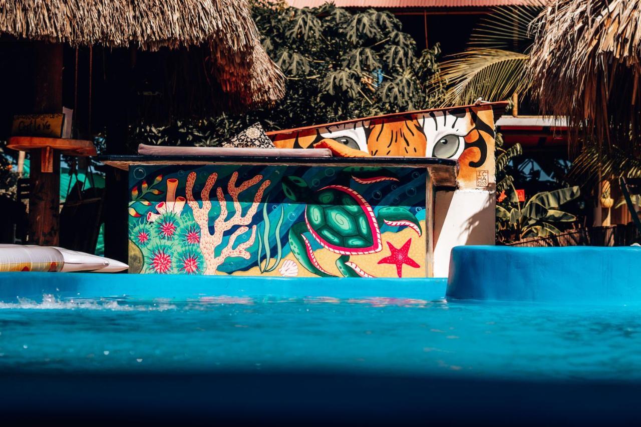 El Zoo Hostel, Bar & Pool Palomino