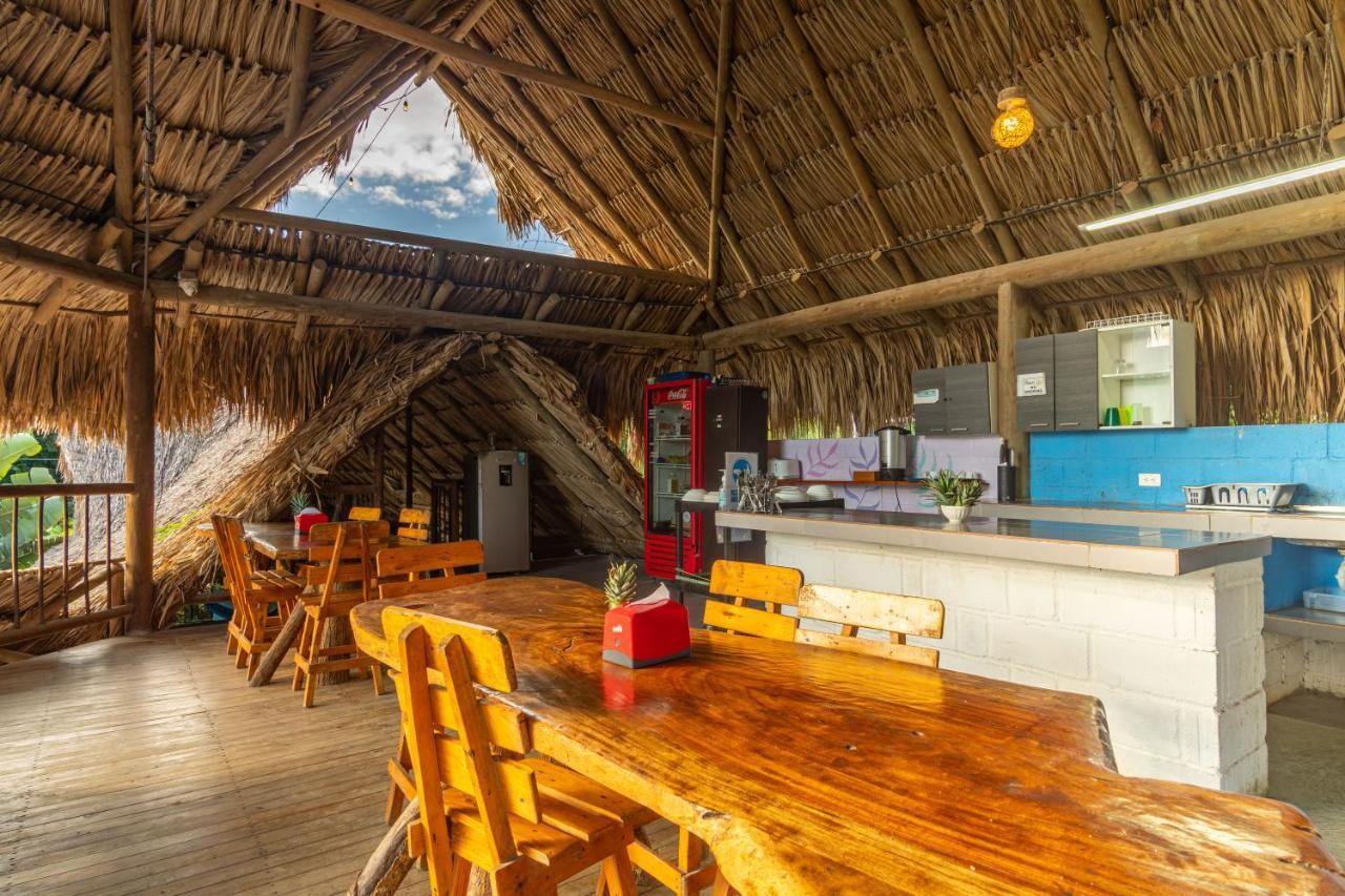El Zoo Hostel, Bar & Pool *