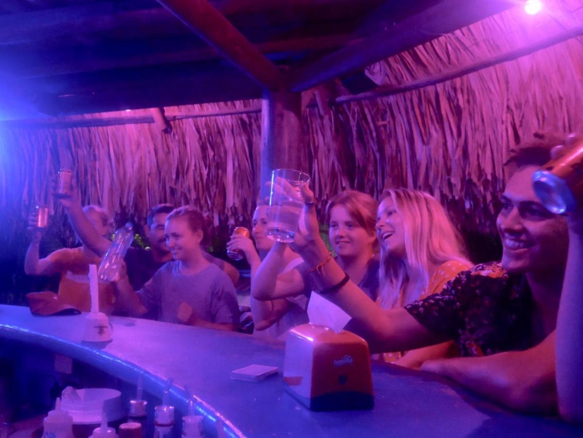El Zoo Hostel, Bar & Pool Hostel Palomino